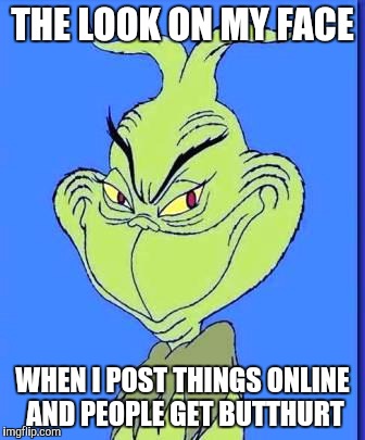Good Grinch | THE LOOK ON MY FACE WHEN I POST THINGS ONLINE AND PEOPLE GET BUTTHURT | image tagged in good grinch | made w/ Imgflip meme maker