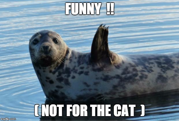Seal | FUNNY  !! ( NOT FOR THE CAT  ) | image tagged in seal | made w/ Imgflip meme maker