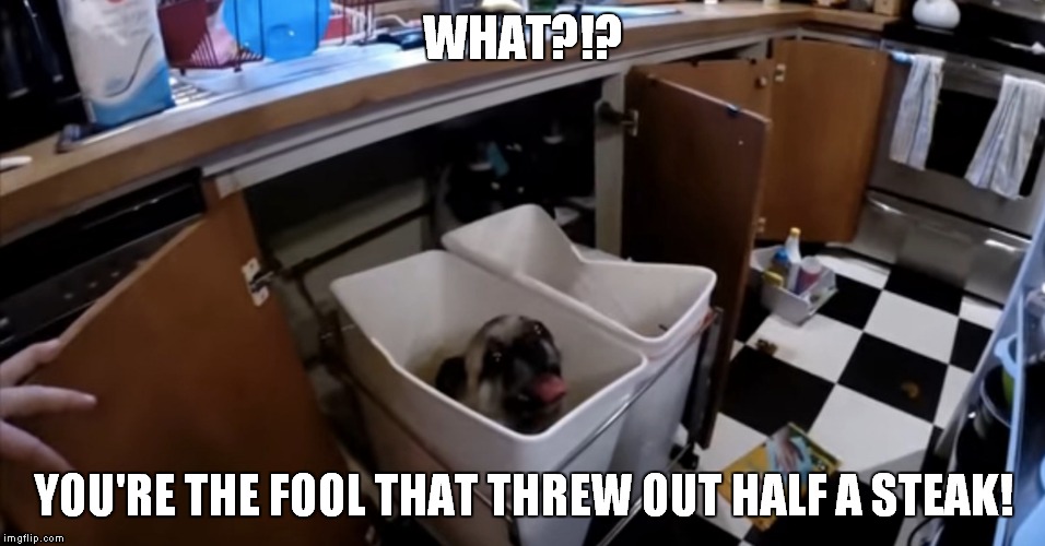 WHAT?!? YOU'RE THE FOOL THAT THREW OUT HALF A STEAK! | made w/ Imgflip meme maker