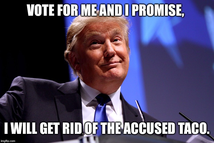 Donald Trump No2 | VOTE FOR ME AND I PROMISE, I WILL GET RID OF THE ACCUSED TACO. | image tagged in donald trump no2 | made w/ Imgflip meme maker