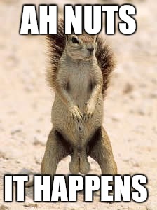 AH NUTS IT HAPPENS | made w/ Imgflip meme maker