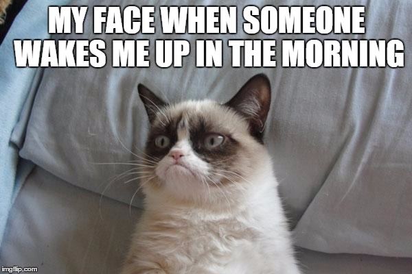 It drives me nuts | MY FACE WHEN SOMEONE WAKES ME UP IN THE MORNING | image tagged in memes,grumpy cat bed,grumpy cat,you know what really grinds my gears | made w/ Imgflip meme maker