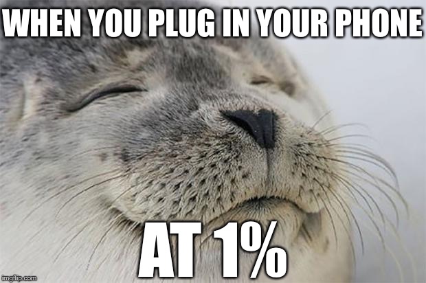Pro Charging Victory | WHEN YOU PLUG IN YOUR PHONE AT 1% | image tagged in memes,satisfied seal | made w/ Imgflip meme maker