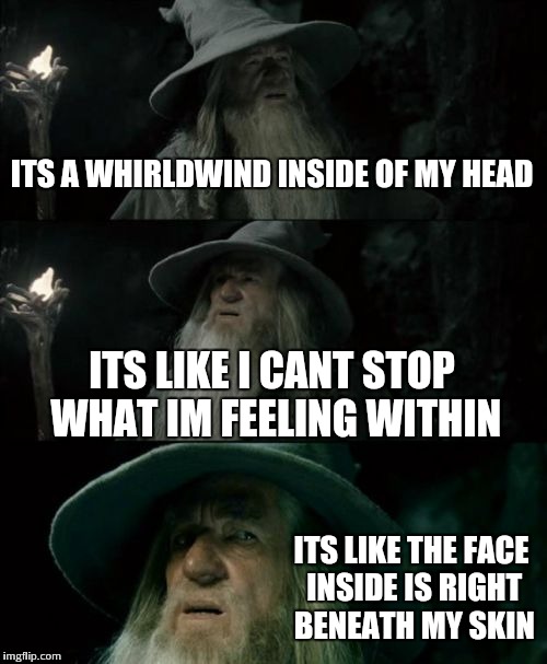 Confused Gandalf Meme | ITS A WHIRLDWIND INSIDE OF MY HEAD ITS LIKE I CANT STOP WHAT IM FEELING WITHIN ITS LIKE THE FACE INSIDE IS RIGHT BENEATH MY SKIN | image tagged in memes,confused gandalf | made w/ Imgflip meme maker