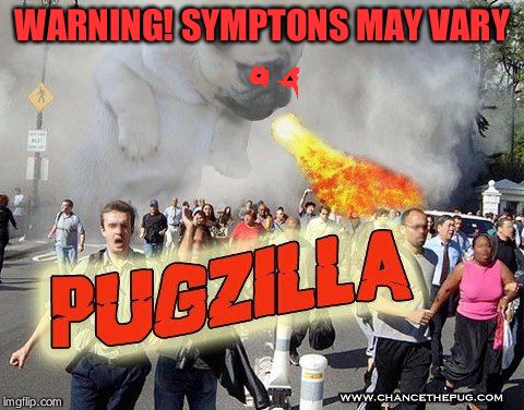 Pugzilla | WARNING! SYMPTONS MAY VARY | image tagged in pugzilla | made w/ Imgflip meme maker