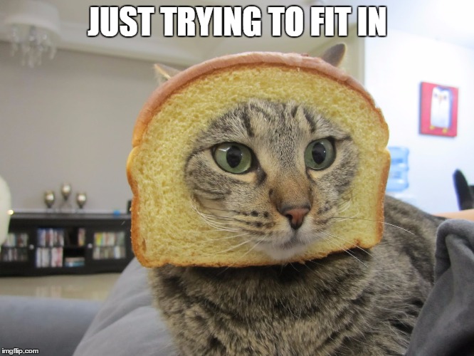 Inbred | JUST TRYING TO FIT IN | image tagged in inbred | made w/ Imgflip meme maker