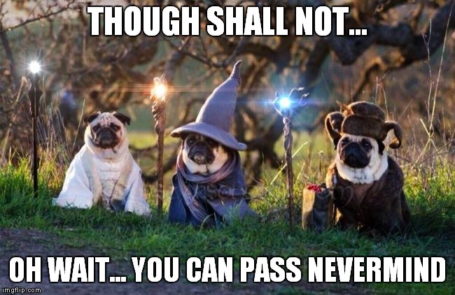 OK you can pass | THOUGH SHALL NOT... OH WAIT... YOU CAN PASS NEVERMIND | image tagged in pugs,lord of the rings,funny | made w/ Imgflip meme maker