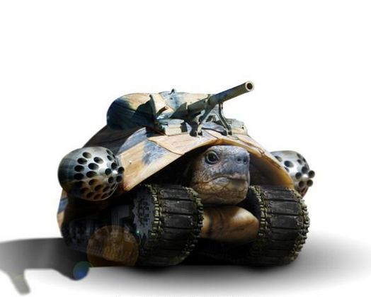 High Quality turtle tank Blank Meme Template