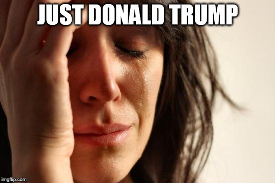 First World Problems | JUST DONALD TRUMP | image tagged in memes,first world problems | made w/ Imgflip meme maker