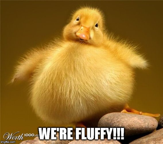WE'RE FLUFFY!!! | made w/ Imgflip meme maker
