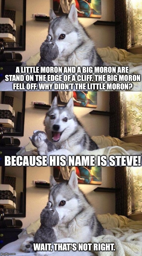 I'm Bad at Puns Dog | A LITTLE MORON AND A BIG MORON ARE STAND ON THE EDGE OF A CLIFF. THE BIG MORON FELL OFF. WHY DIDN'T THE LITTLE MORON? BECAUSE HIS NAME IS ST | image tagged in i'm bad at puns dog | made w/ Imgflip meme maker