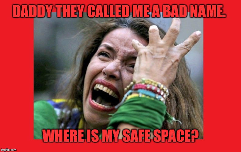 DADDY THEY CALLED ME A BAD NAME. WHERE IS MY SAFE SPACE? | image tagged in spoiled college girl | made w/ Imgflip meme maker