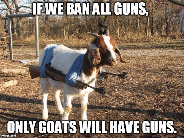 No real political statement here, just found the image too funny to pass up.  | IF WE BAN ALL GUNS, ONLY GOATS WILL HAVE GUNS. | image tagged in call of duty goat,memes,animals,funny,goat | made w/ Imgflip meme maker
