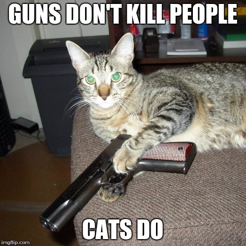 Image tagged in gun,cats,guns don't kill people - Imgflip