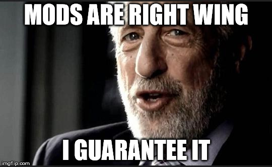 I guarantee it | MODS ARE RIGHT WING I GUARANTEE IT | image tagged in i guarantee it | made w/ Imgflip meme maker
