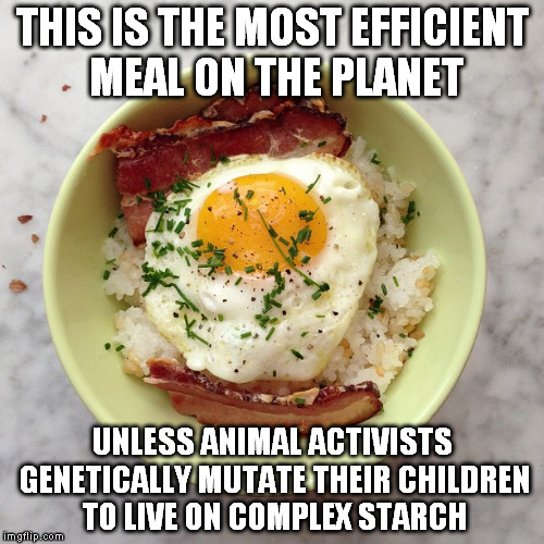 Their children would be labeled GMO | THIS IS THE MOST EFFICIENT MEAL ON THE PLANET UNLESS ANIMAL ACTIVISTS GENETICALLY MUTATE THEIR CHILDREN TO LIVE ON COMPLEX STARCH | image tagged in bacon eggs and rice,memes,liberal logic,gmo,chinese food,world hunger | made w/ Imgflip meme maker