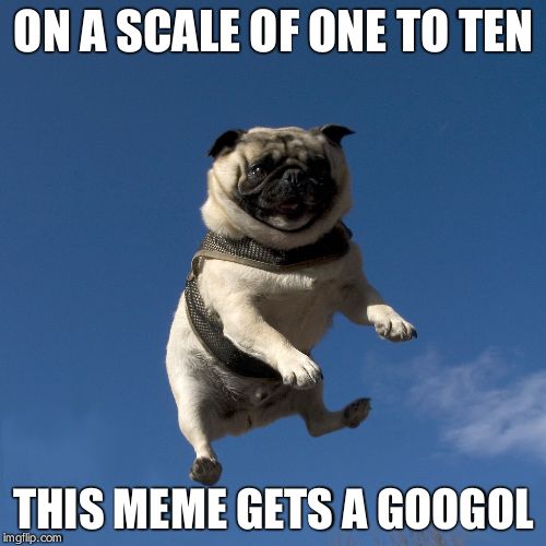 Googol approves Blank Meme Template