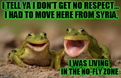 bad joke frog | I TELL YA I DON'T GET NO RESPECT... I HAD TO MOVE HERE FROM SYRIA, I WAS LIVING IN THE NO-FLY ZONE | image tagged in two happy frogs,animals,memes,funny,frog | made w/ Imgflip meme maker