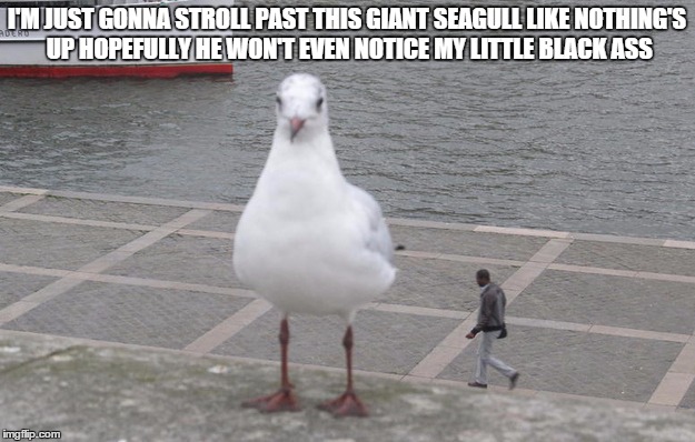 I'M JUST GONNA STROLL PAST THIS GIANT SEAGULL LIKE NOTHING'S UP HOPEFULLY HE WON'T EVEN NOTICE MY LITTLE BLACK ASS | image tagged in giant seagull | made w/ Imgflip meme maker