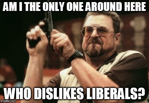 Am I The Only One Around Here Who Dislikes Liberals? | AM I THE ONLY ONE AROUND HERE WHO DISLIKES LIBERALS? | image tagged in am i the only one around here,memes,liberal vs conservative,walter the big lebowski,gun | made w/ Imgflip meme maker