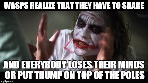 And everybody loses their minds Meme | WASPS REALIZE THAT THEY HAVE TO SHARE AND EVERYBODY LOSES THEIR MINDS OR PUT TRUMP ON TOP OF THE POLES | image tagged in memes,and everybody loses their minds | made w/ Imgflip meme maker
