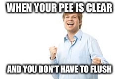 Don't lie. You do this. You too ladies  | WHEN YOUR PEE IS CLEAR AND YOU DON'T HAVE TO FLUSH | image tagged in relateable | made w/ Imgflip meme maker