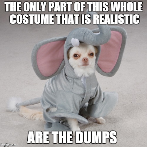 elephant dog | THE ONLY PART OF THIS WHOLE COSTUME THAT IS REALISTIC ARE THE DUMPS | image tagged in costume | made w/ Imgflip meme maker