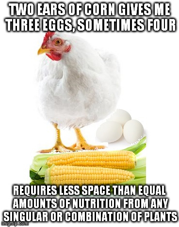 It is the basic math that every economist uses | TWO EARS OF CORN GIVES ME THREE EGGS, SOMETIMES FOUR REQUIRES LESS SPACE THAN EQUAL AMOUNTS OF NUTRITION FROM ANY SINGULAR OR COMBINATION OF | image tagged in world hunger,so true memes,economics,natural resources,angry chicken boss,math in a nutshell | made w/ Imgflip meme maker