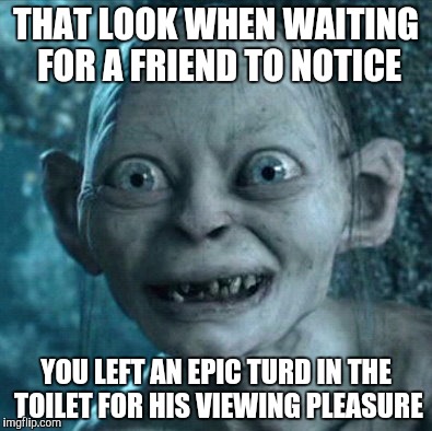 Gollum | THAT LOOK WHEN WAITING FOR A FRIEND TO NOTICE YOU LEFT AN EPIC TURD IN THE TOILET FOR HIS VIEWING PLEASURE | image tagged in memes,gollum | made w/ Imgflip meme maker