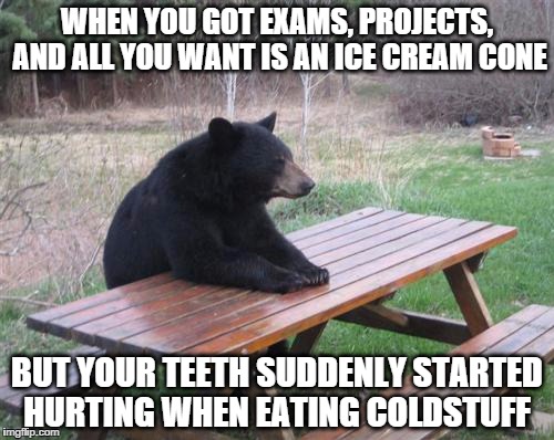 Bad Luck Bear Meme | WHEN YOU GOT EXAMS, PROJECTS, AND ALL YOU WANT IS AN ICE CREAM CONE BUT YOUR TEETH SUDDENLY STARTED HURTING WHEN EATING COLDSTUFF | image tagged in memes,bad luck bear | made w/ Imgflip meme maker