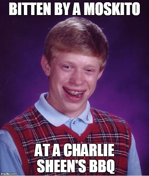 Bad Luck Brian | BITTEN BY A MOSKITO AT A CHARLIE SHEEN'S BBQ | image tagged in memes,bad luck brian | made w/ Imgflip meme maker