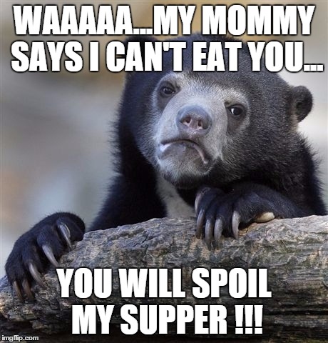 Confession Bear Meme | WAAAAA...MY MOMMY SAYS I CAN'T EAT YOU... YOU WILL SPOIL MY SUPPER !!! | image tagged in memes,confession bear | made w/ Imgflip meme maker