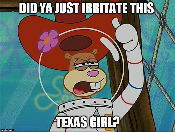 Sandy Cheeks Did Ya Just Irritate This Texas Girl? | DID YA JUST IRRITATE THIS TEXAS GIRL? | image tagged in sandy cheeks - tough 2,texas girl,memes,sandy cheeks,spongebob squarepants,funny | made w/ Imgflip meme maker