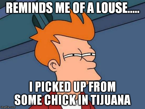 Futurama Fry Meme | REMINDS ME OF A LOUSE..... I PICKED UP FROM SOME CHICK IN TIJUANA | image tagged in memes,futurama fry | made w/ Imgflip meme maker