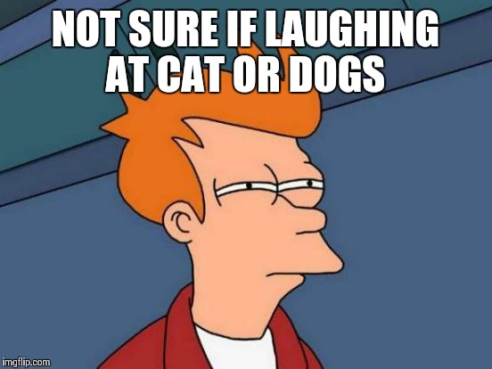 Futurama Fry Meme | NOT SURE IF LAUGHING AT CAT OR DOGS | image tagged in memes,futurama fry | made w/ Imgflip meme maker