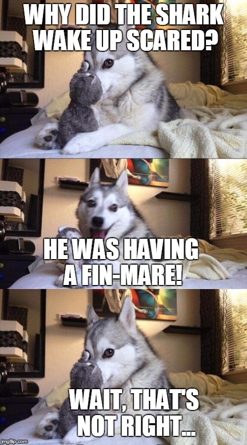 I'm Bad at Puns Dog | WHY DID THE SHARK WAKE UP SCARED? HE WAS HAVING A FIN-MARE! WAIT, THAT'S NOT RIGHT... | image tagged in i'm bad at puns dog | made w/ Imgflip meme maker