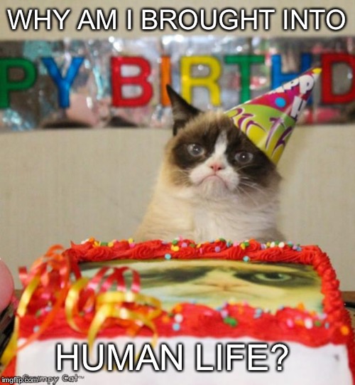 Grumpy Cat Birthday | WHY AM I BROUGHT INTO HUMAN LIFE? | image tagged in memes,grumpy cat birthday | made w/ Imgflip meme maker