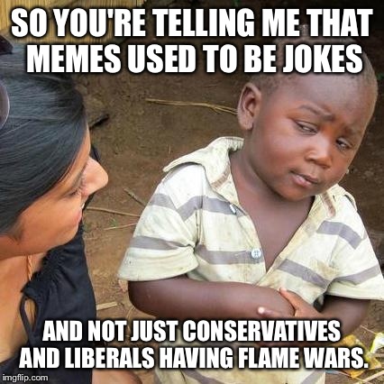 Third World Skeptical Kid Meme | SO YOU'RE TELLING ME THAT MEMES USED TO BE JOKES AND NOT JUST CONSERVATIVES AND LIBERALS HAVING FLAME WARS. | image tagged in memes,third world skeptical kid | made w/ Imgflip meme maker