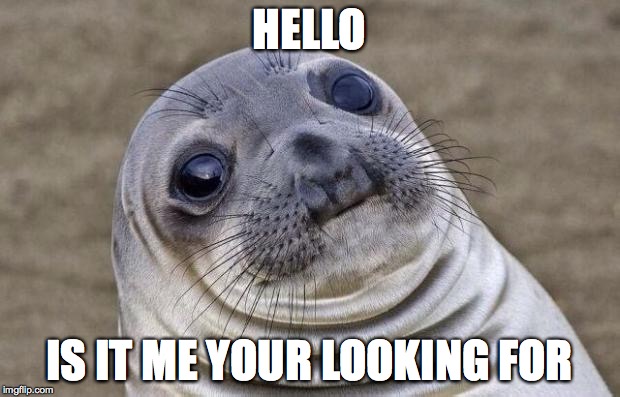 Awkward Moment Sealion | HELLO IS IT ME YOUR LOOKING FOR | image tagged in memes,awkward moment sealion | made w/ Imgflip meme maker