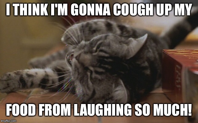 Monty Cough Up My Food | I THINK I'M GONNA COUGH UP MY FOOD FROM LAUGHING SO MUCH! | image tagged in monty,memes,laughing cat,stuart little,funny | made w/ Imgflip meme maker