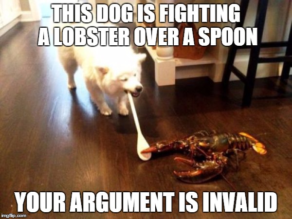 Lobster dog spoon fight | THIS DOG IS FIGHTING A LOBSTER OVER A SPOON YOUR ARGUMENT IS INVALID | image tagged in your argument is invalid | made w/ Imgflip meme maker