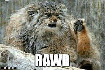 RAWR | made w/ Imgflip meme maker