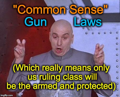 Easy to say if all the people with you are carrying concealed submachine guns | "Common Sense" Gun        Laws (Which really means only us ruling class will be the armed and protected) | image tagged in memes,dr evil laser | made w/ Imgflip meme maker