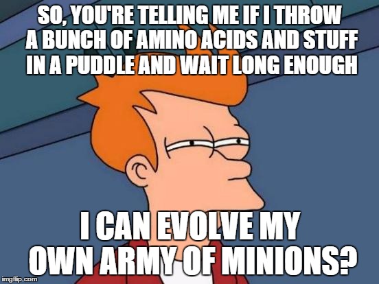 Why has this not been tried before? | SO, YOU'RE TELLING ME IF I THROW A BUNCH OF AMINO ACIDS AND STUFF IN A PUDDLE AND WAIT LONG ENOUGH I CAN EVOLVE MY OWN ARMY OF MINIONS? | image tagged in memes,futurama fry | made w/ Imgflip meme maker