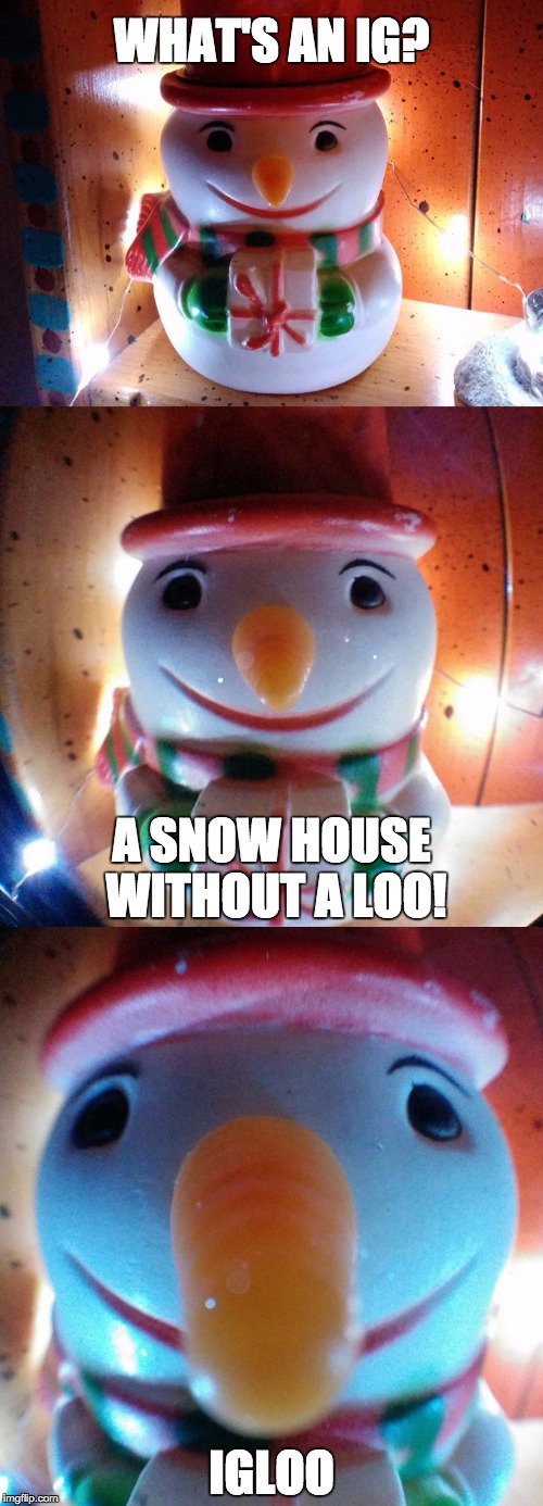 Snow Joke: What's an ig? A snow house without a loo ! IGLOO! LetsGetWordy | WHAT'S AN IG? A SNOW HOUSE WITHOUT A LOO! IGLOO | image tagged in snow joke,igloo,loo,snowman,letsgetwordy | made w/ Imgflip meme maker