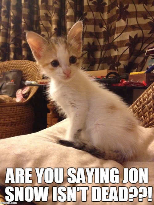 ARE YOU SAYING JON SNOW ISN'T DEAD??! | image tagged in jon snow,game of thrones | made w/ Imgflip meme maker