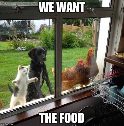 food | WE WANT THE FOOD | image tagged in food | made w/ Imgflip meme maker