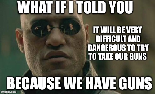 Matrix Morpheus | WHAT IF I TOLD YOU IT WILL BE VERY DIFFICULT AND DANGEROUS TO TRY TO TAKE OUR GUNS BECAUSE WE HAVE GUNS | image tagged in memes,matrix morpheus | made w/ Imgflip meme maker