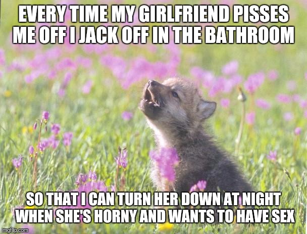 Baby Insanity Wolf Meme | EVERY TIME MY GIRLFRIEND PISSES ME OFF I JACK OFF IN THE BATHROOM SO THAT I CAN TURN HER DOWN AT NIGHT WHEN SHE'S HORNY AND WANTS TO HAVE SE | image tagged in memes,baby insanity wolf | made w/ Imgflip meme maker