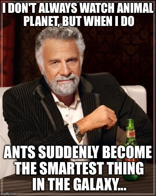 The Most Interesting Man In The World Meme | I DON'T ALWAYS WATCH ANIMAL PLANET, BUT WHEN I DO ANTS SUDDENLY BECOME THE SMARTEST THING IN THE GALAXY... | image tagged in memes,the most interesting man in the world | made w/ Imgflip meme maker